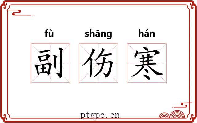 副伤寒