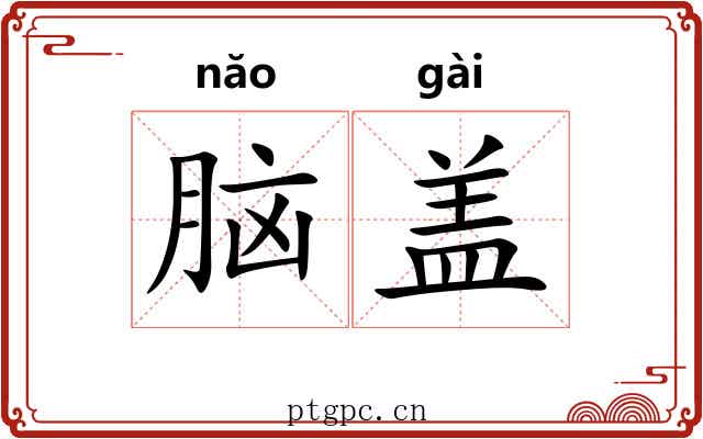 脑盖 脑盖