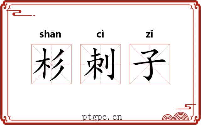 杉刺子