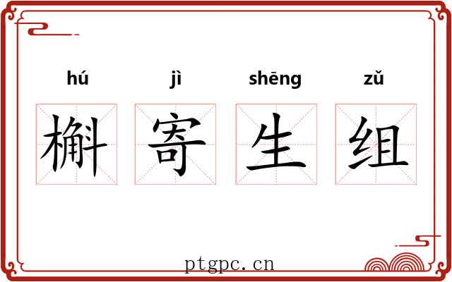 槲寄生组 槲寄生组