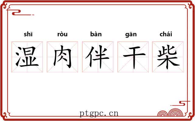 湿肉伴干柴 湿肉伴干柴