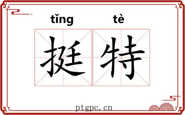 挺特 挺特