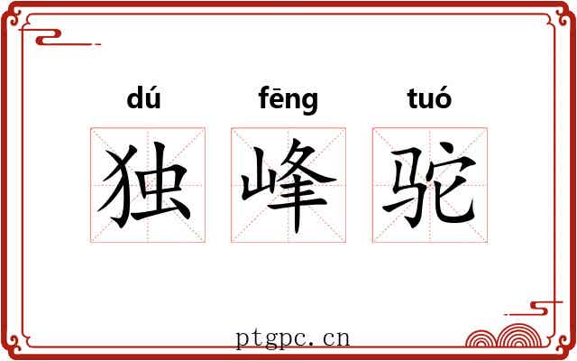 独峰驼