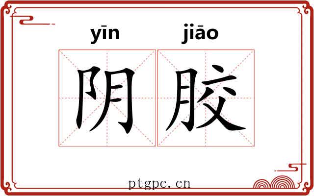 阴胶
