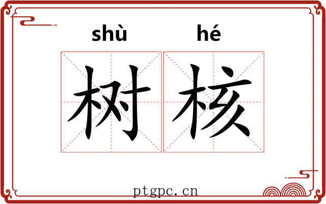 树核