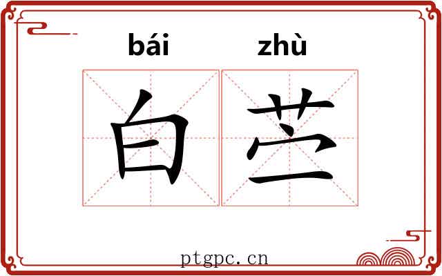 白苎