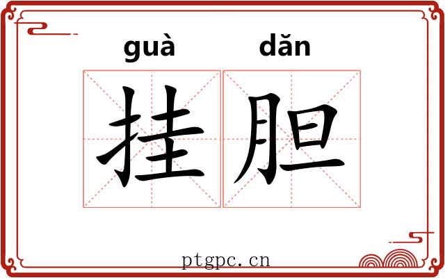 挂胆 挂胆