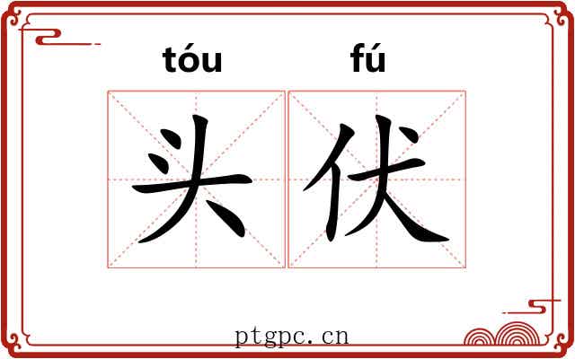 头伏