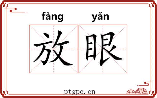放眼