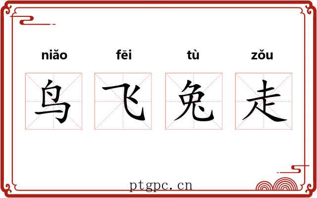 鸟飞兔走