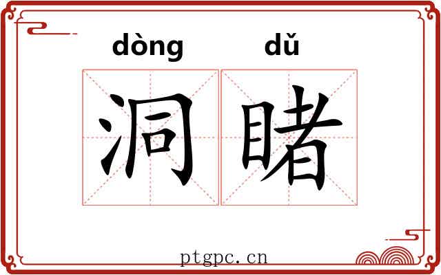 洞睹