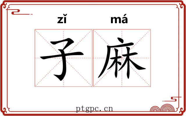 子麻