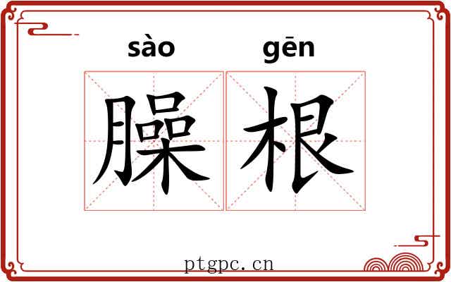 臊根