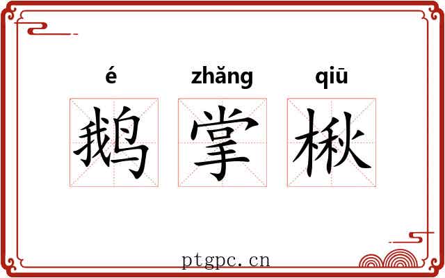 鹅掌楸 鹅掌楸