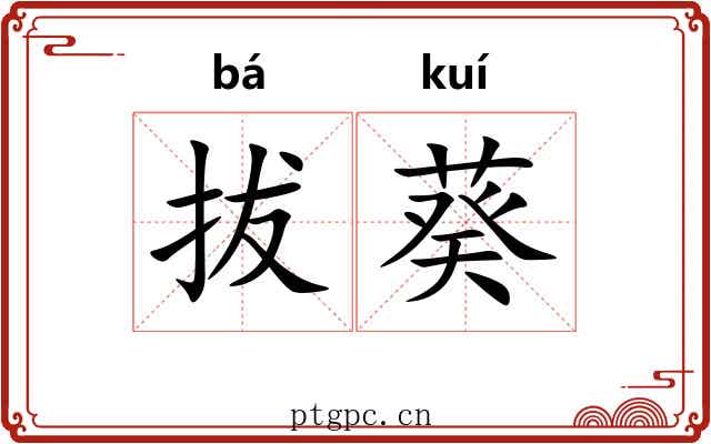 拔葵