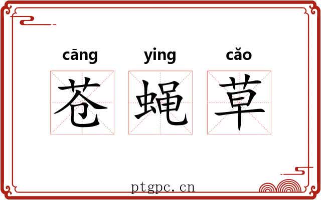 苍蝇草