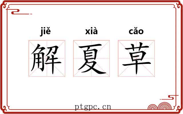 解夏草