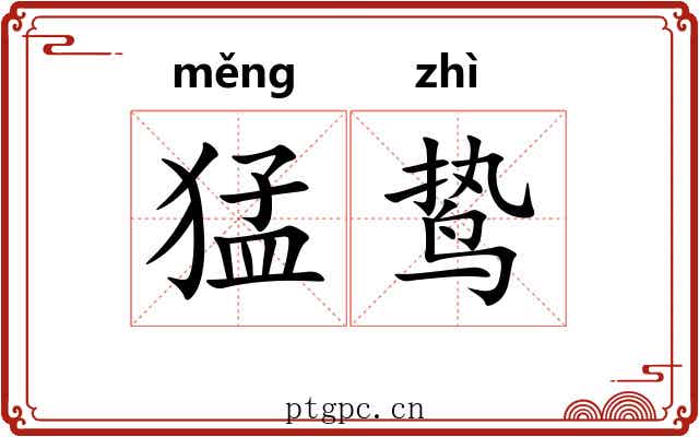 猛鸷