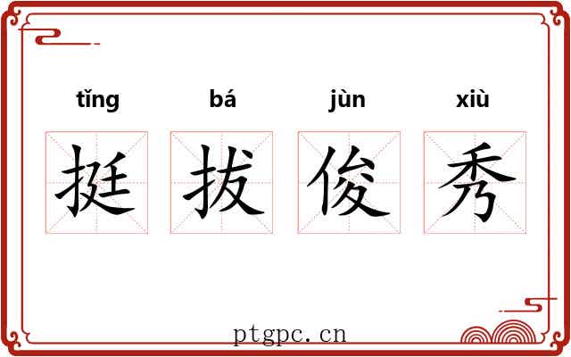 挺拔俊秀 挺拔俊秀