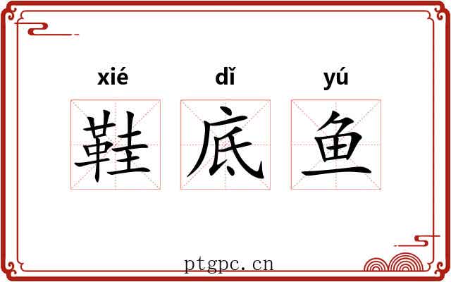 鞋底鱼