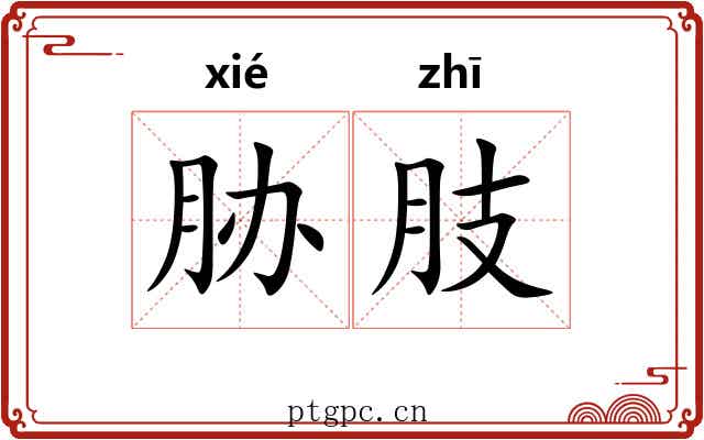 胁肢