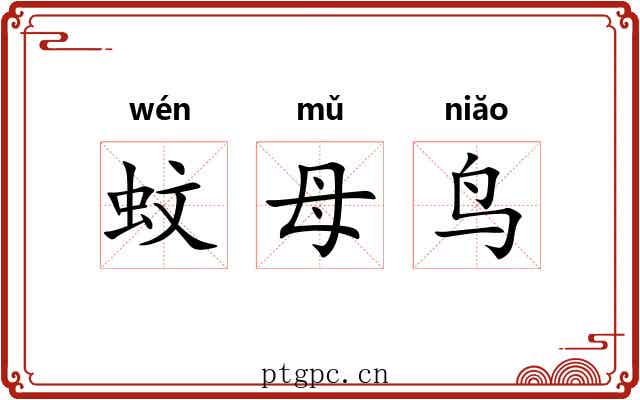 蚊母鸟