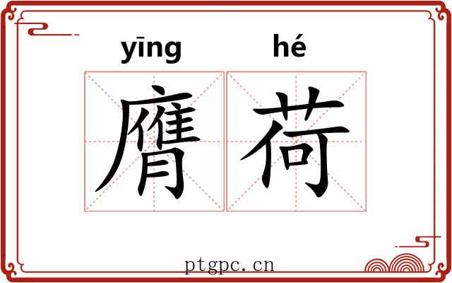 膺荷