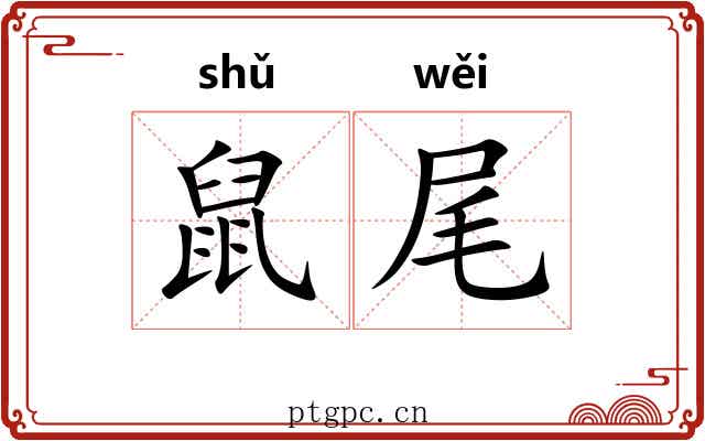 鼠尾 鼠尾