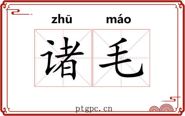 诸毛