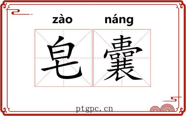 皂囊