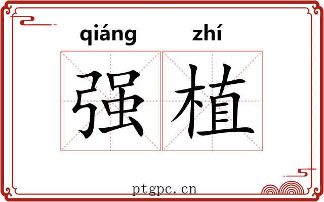 强植 强植
