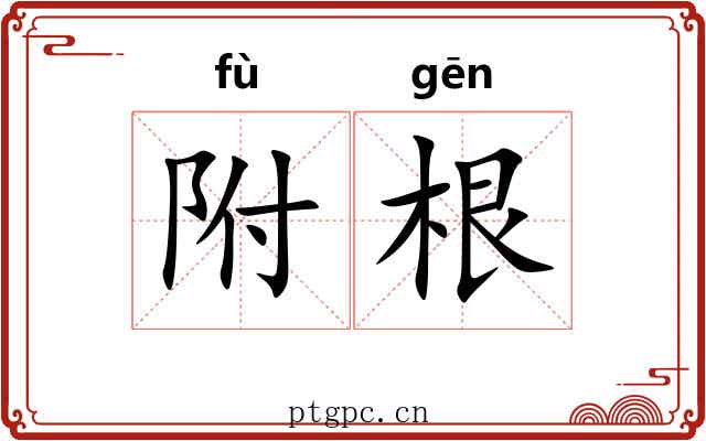 附根