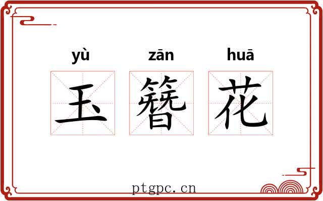 玉簪花