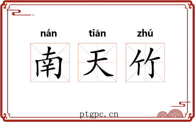 南天竹