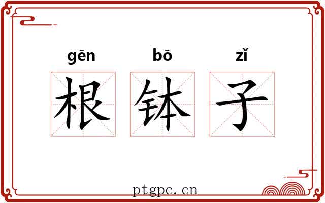 根钵子
