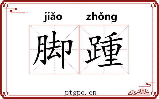 脚踵