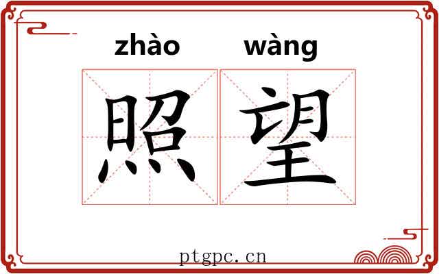 照望 照望