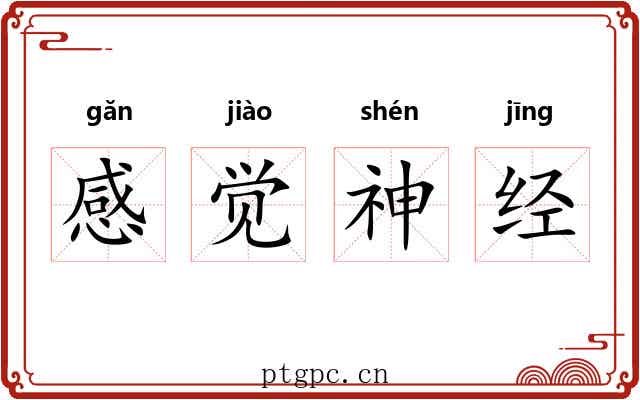 感觉神经