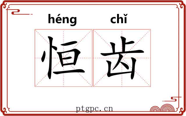 恒齿 恒齿