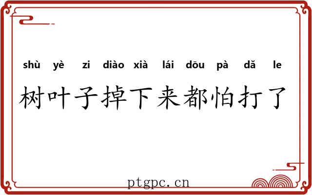 树叶子掉下来都怕打了头