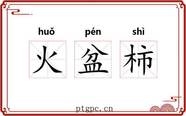火盆柿 火盆柿