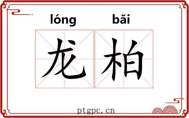 龙柏