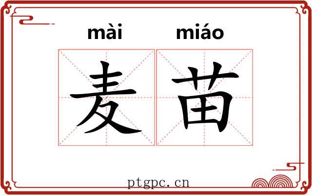 麦苗