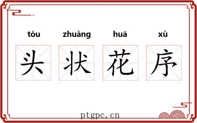 头状花序 头状花序