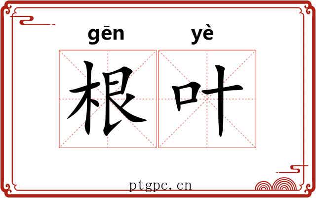 根叶 根叶