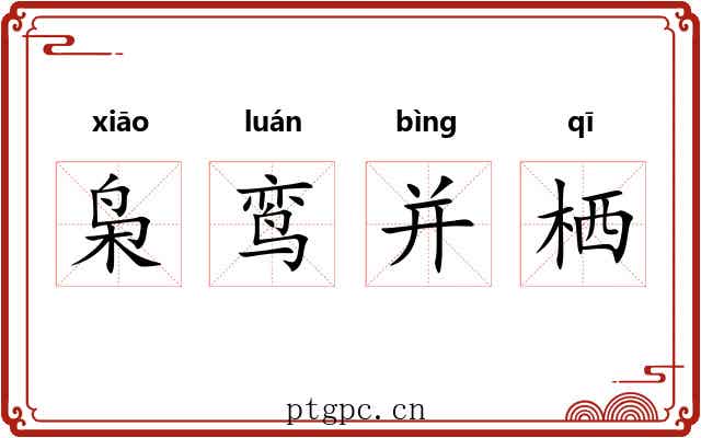枭鸾并栖
