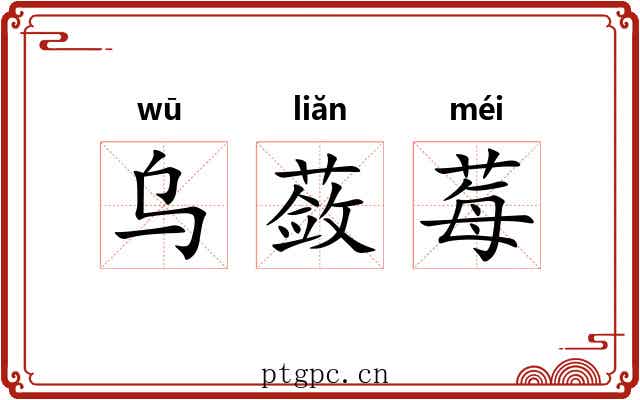 乌蔹莓