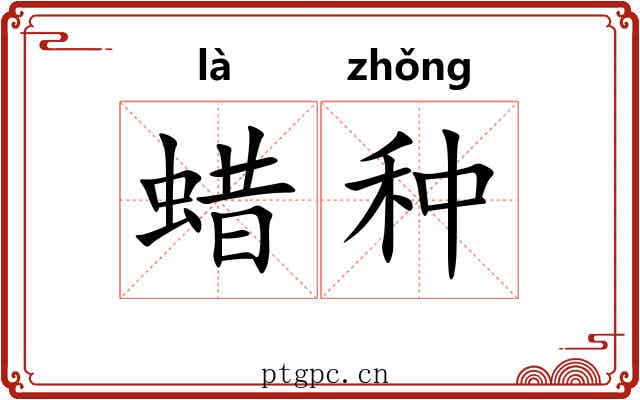 蜡种 蜡种