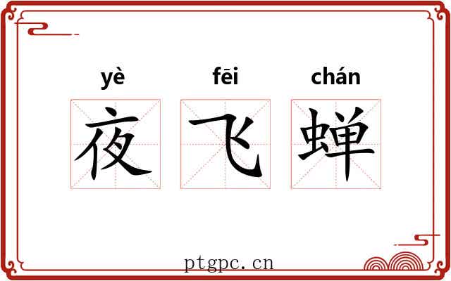 夜飞蝉 夜飞蝉