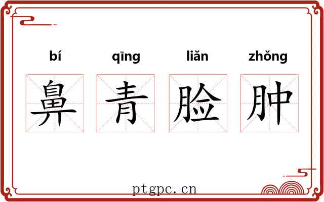 鼻青脸肿 鼻青脸肿